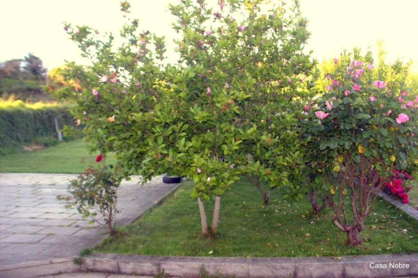 Retiro Na Natureza Casa Com Piscina Digueifel ภายนอก รูปภาพ